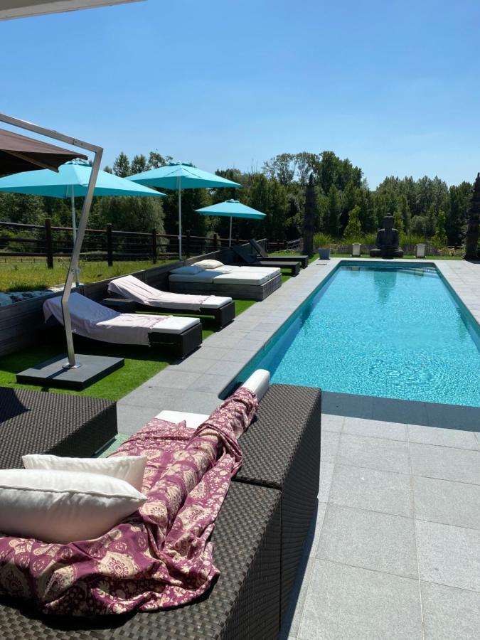 B&B La Douceur De La Miclette Ellezelles ภายนอก รูปภาพ